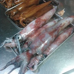 舞鶴：WarpZoneさん　イカメタル